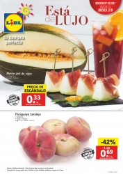 Catálogo Lidl