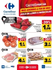 Catálogo Carrefour Fuente Álamo de Murcia